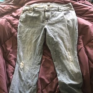 ana bootcut distressed jeans plus size 22